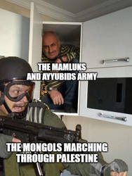 Mongols vs Mamluks