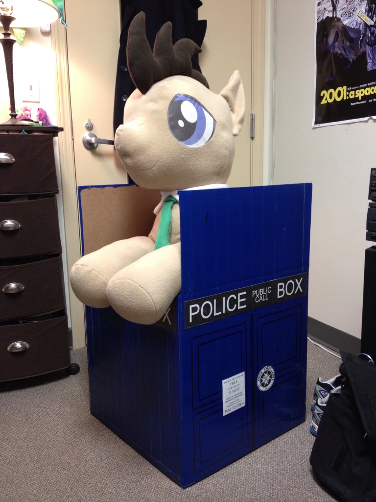 The box that Doctor Whooves was mailed in