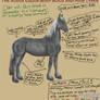 The Audax Equus-Body and Hair