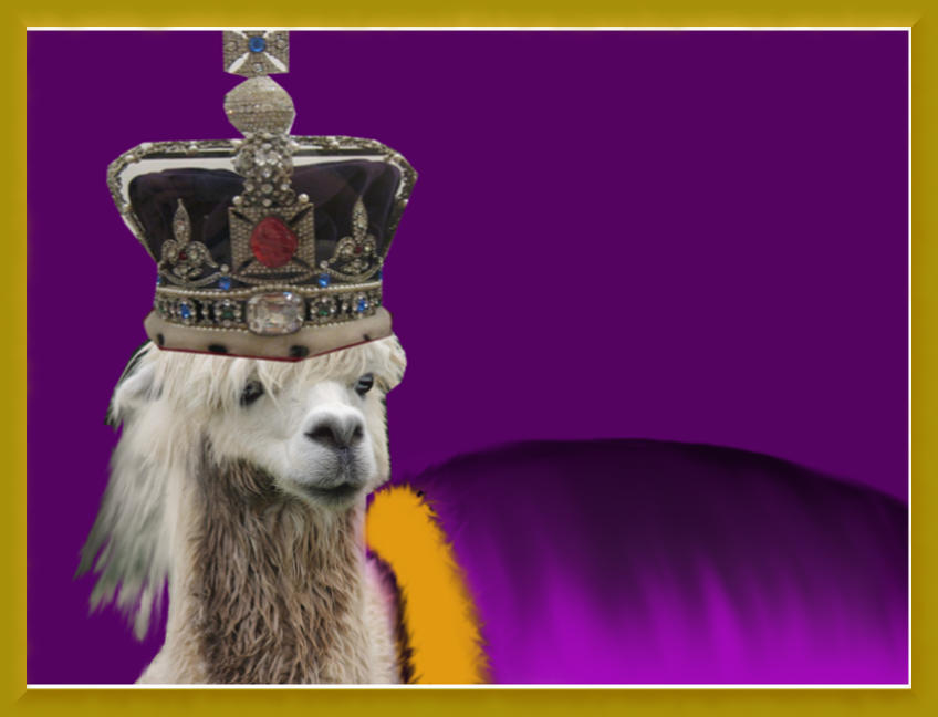 I got a King llama