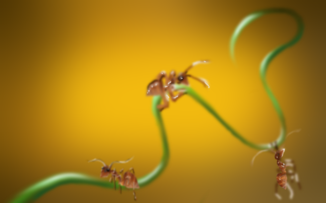 Ants by AnnieBee61