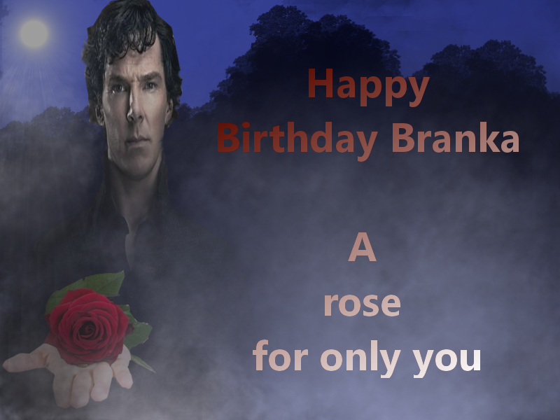 Happy Birthday Branka by AnnieBee61 on DeviantArt
