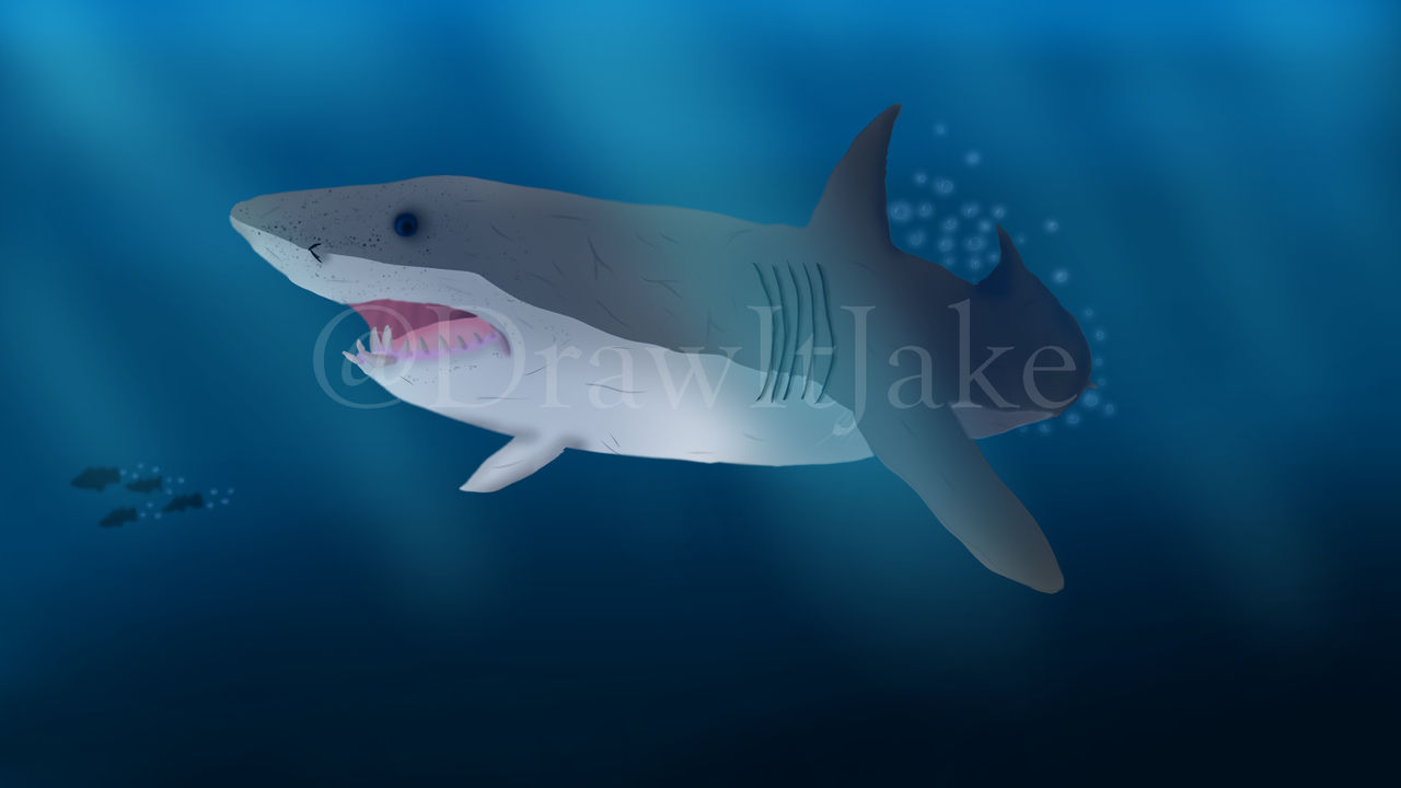 Shark By DrawItJake On DeviantArt shark-by-drawitjake-on-deviantart