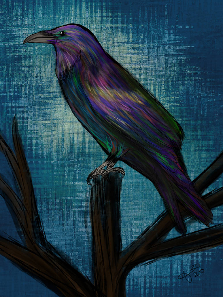 Rainbow Raven by artisananon on DeviantArt