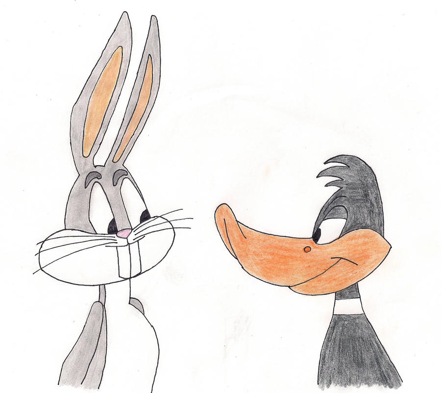 Web Wabbit Wabbit Season. by lizardman22 on DeviantArt