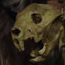 Thylacoleo carnifex