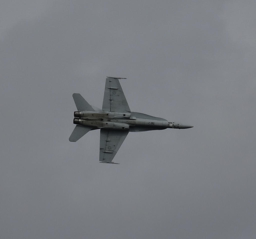 McDonnell Douglas F/A-18 Hornet 02