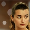 Ziva Icon