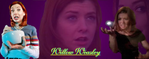 Willow Banner