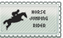 Horse jumping rider