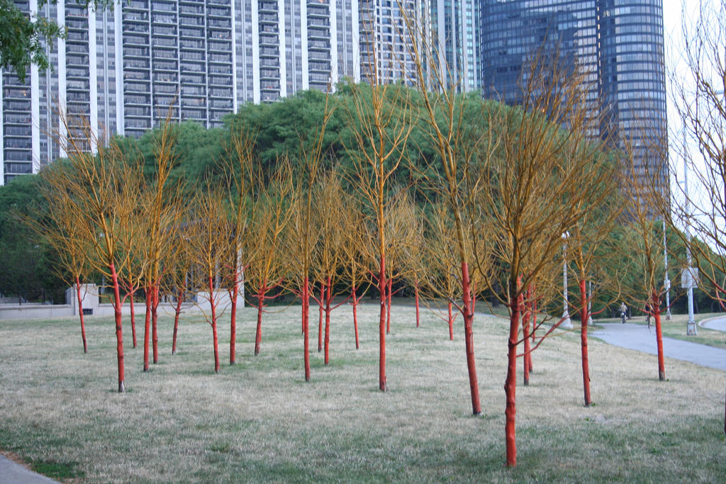 a colorful forest in a gray city