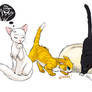 Naruto Team 7 - kitties
