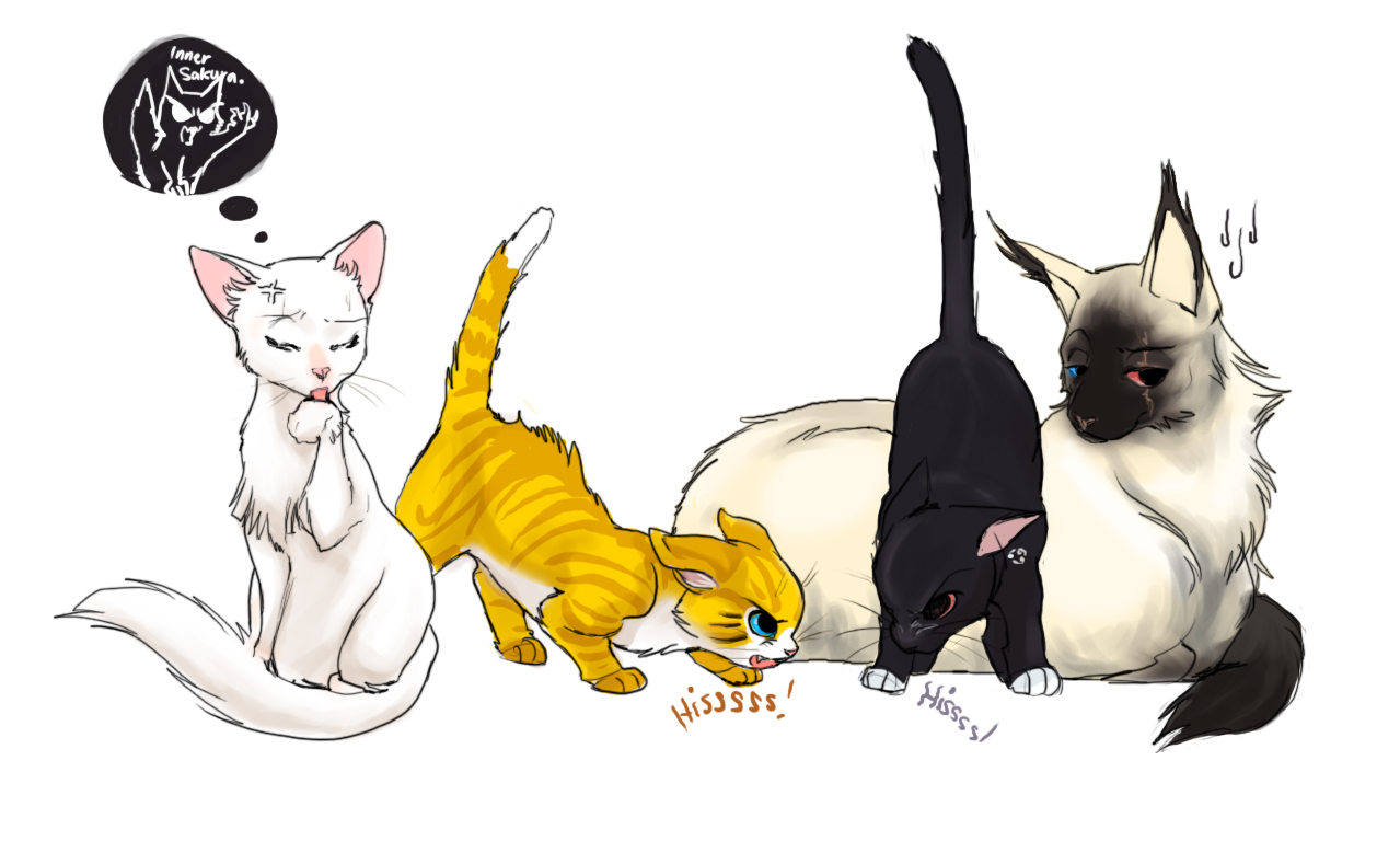 Naruto Team 7 - kitties by cheenot