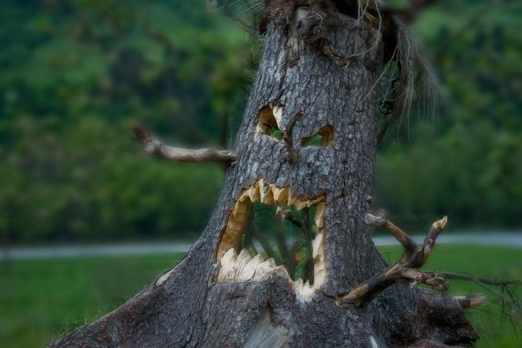 Crying Tree by pituuu on DeviantArt