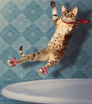 Soap Surfer by christian3400 Soap Surfer by christian3400