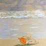 Seashell