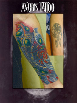 BIOMECH COVERUP