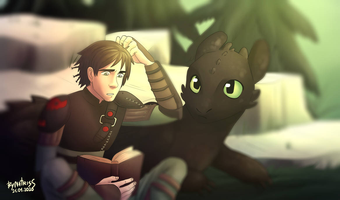 Snap Httyd HTTYD by NATRISS on DeviantArt
