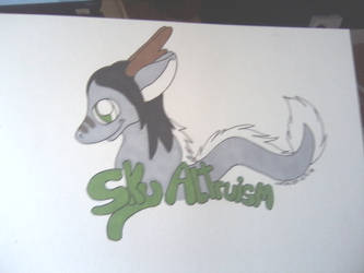 Headshot promarker con badge for Sky Altruism