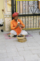 India Snake Charmer