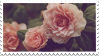 Roses Stamp