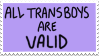 All Transboys Are Valid