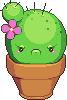 Pixel - Angry Cacti