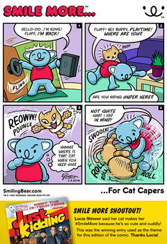 New webcomic is up: Smile More For Cat Capers