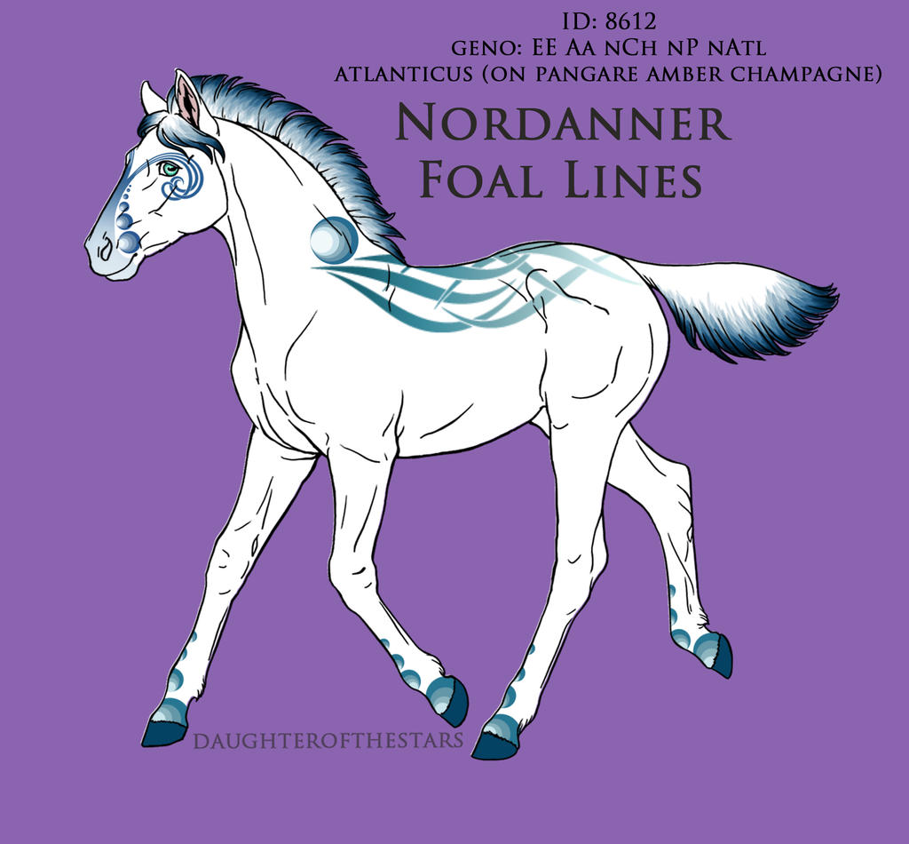 Atlanticus Foal Design Try#1