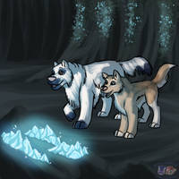 Light in the Dark by Nomminus