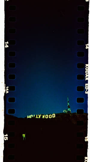 Hollywood Tall