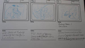 Rodney Ringtail Storyboard 3