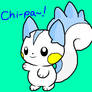 Chipa, a new OC