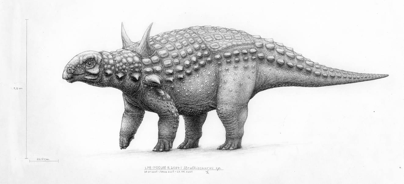 Stuthiosaurus sp. by FossilCrafter on DeviantArt