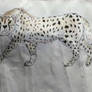 Collection of Cheetah art