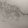 Snow leopard