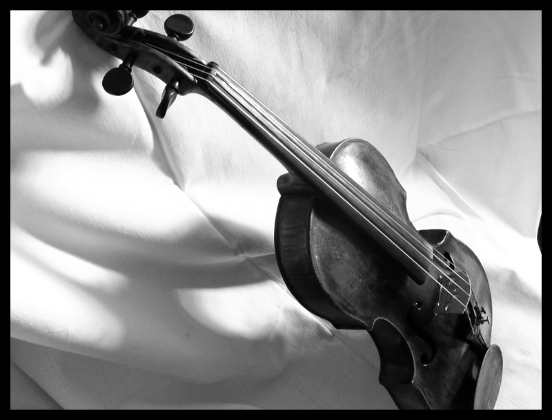 violin fixioN II