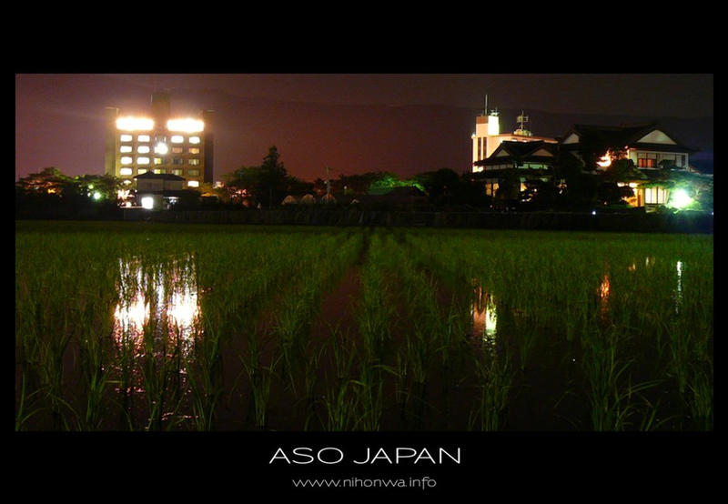 A rice field in the night -2-