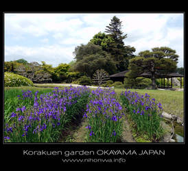 The korakuen garden -4-