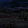 Nocturnal ways - Ra