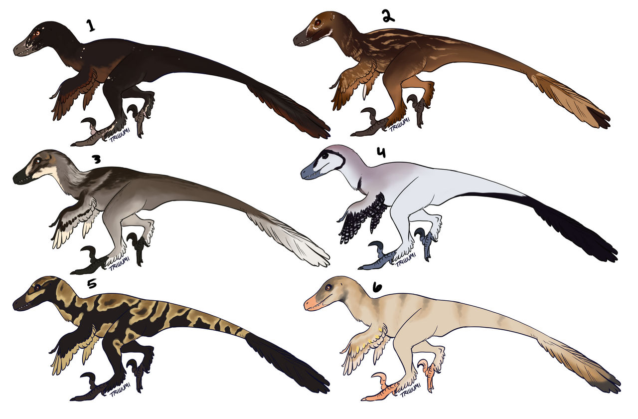Raptor adopts - 4/6 OPEN by AshesOfMonsters on DeviantArt