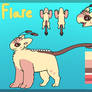 Flare Reference