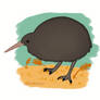 North Island Brown Kiwi