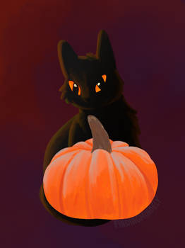 Pumpkin