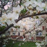 April.
