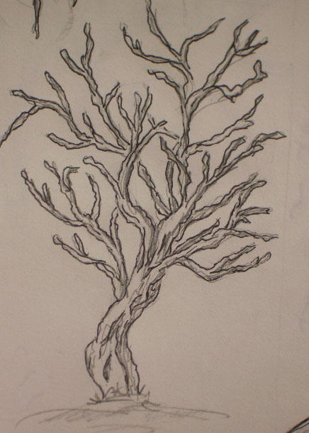 Vital Tree by Nikandedd on DeviantArt