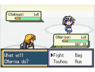 mi primer combate Touhoumon