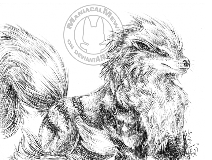 Arcanine