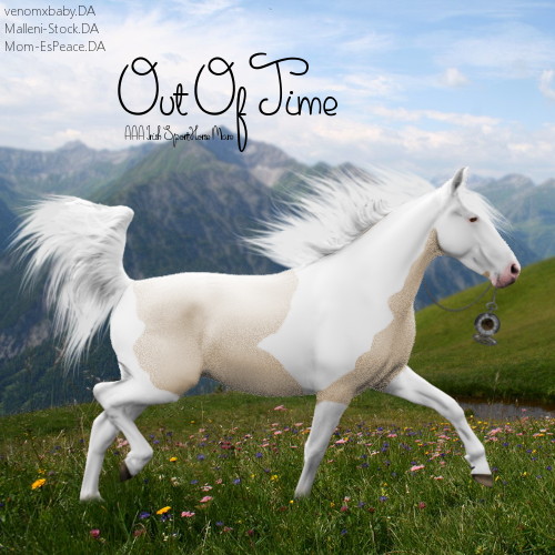 HEE Horse Avatar|Out of Time