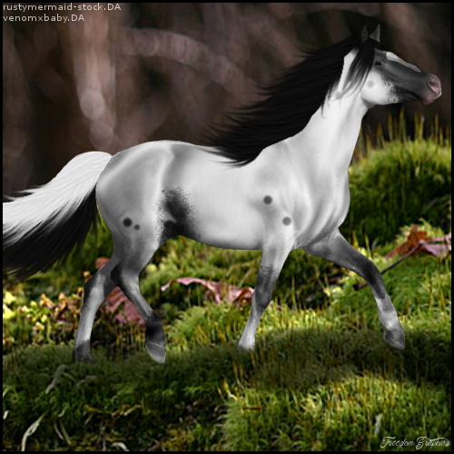 HEE Horse Avatar|Belenus